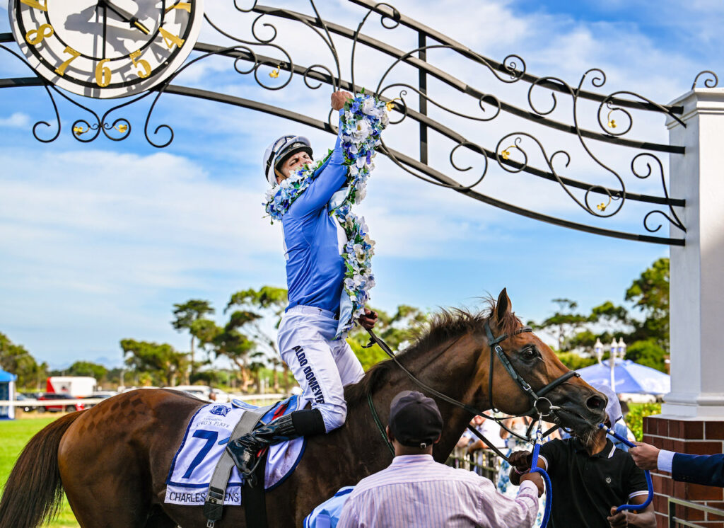 Cape Racing Introduces General Access Tickets for L’Ormarins King’s Plate 2025