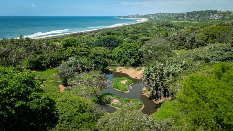 Celebrate the Festive Season and Henry’s 125th Birthday at Crocworld Conservation Centre!