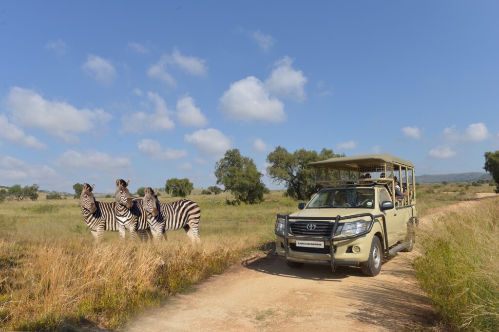 Full Safari Tour Full Safari Tour