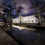 Wine Industry Excellence Shines at the Annual Wine Harvest Commemorative Event