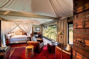 The 7 Things Travellers Often Overlook When Booking an African Safari