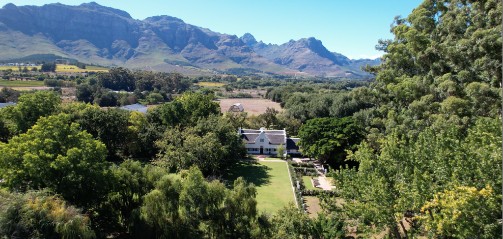 Wine-led experiences are set to steal Valentine’s Day in 2026