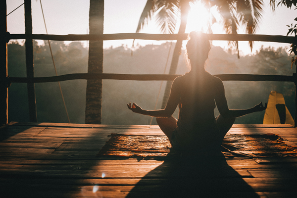 WELLNESS WELLNESS